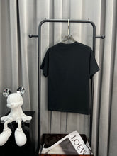 Load image into Gallery viewer, 5672
