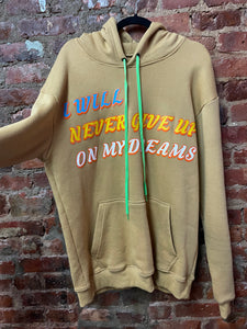 I will never give up hoodie